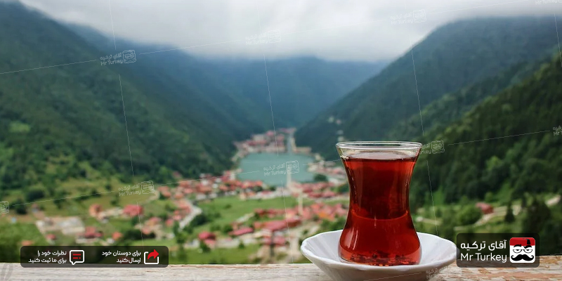 نوشیدنی-های-معروف-ترکیه