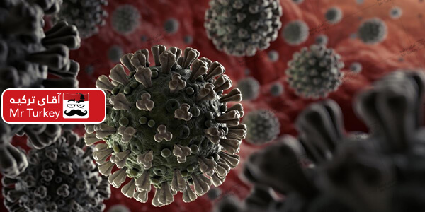 افزایش جانباختگان ویروس کرونا در ترکیه به ۹ نفر/ثبت ۶۷۰ ابتلا